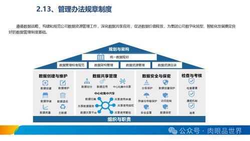 XX集团数据治理体系建设方案 数据处理服务的战略实施路径